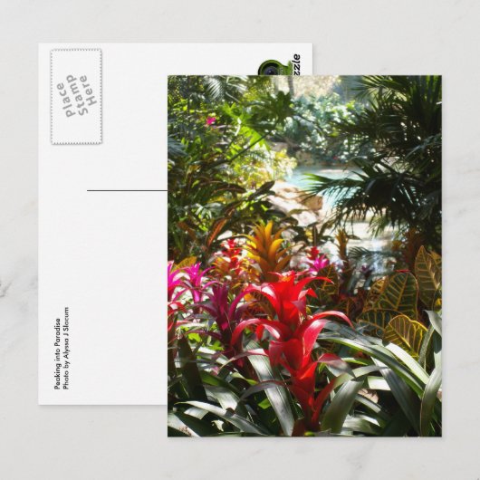 Paradies-Postkarte Postkarte (Vorne/Hinten)