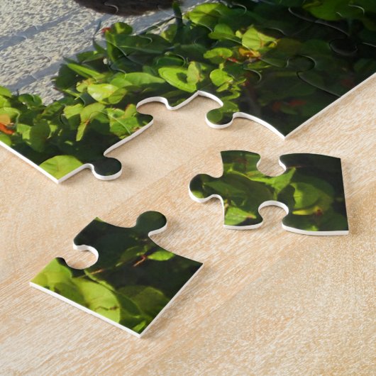 Paradies Puzzle (Seite)