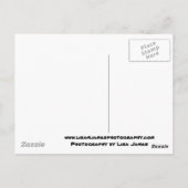 Paradies-Silhouette Postkarte (Rückseite)