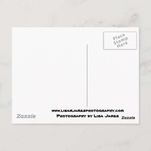 Paradies-Silhouette Postkarte (Rückseite)