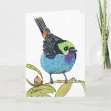 Paradies-Tangare | Farbiger tropischer Vogel Gruß