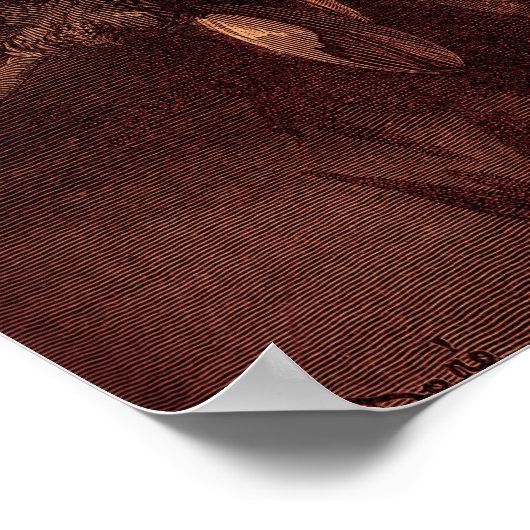 Paradies verloren: Fall der Engel der Rebellen Poster (Ecke)