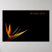 Paradies verloren poster (Vorne)