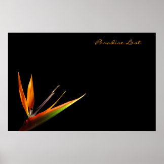 Paradies verloren poster