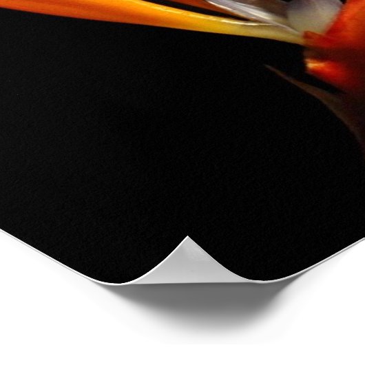 Paradies verloren poster (Ecke)