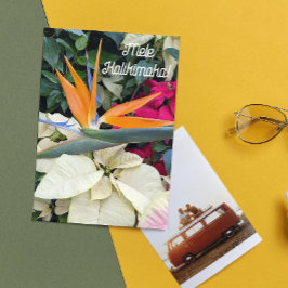 Paradies-Vogel und Poinsettias-Hawaiianischer Blum Feiertagskarte