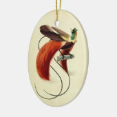 Paradies-Vogel, Vogelillustration, Vintag Keramik Ornament (Links)