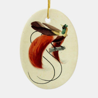 Paradies-Vogel, Vogelillustration, Vintag Keramik Ornament