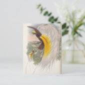 Paradies-Vogel von John Gould, Illustration von Bi Postkarte (Stehend Vorderseite)