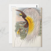 Paradies-Vogel von John Gould, Illustration von Bi Postkarte (Vorne/Hinten)