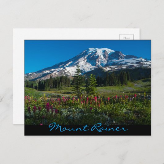 Paradies Wiesen Wildblumen Postkarte (Vorne/Hinten)