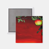 Paradiesapfel Magnet (Vorderseite/Rückseite)