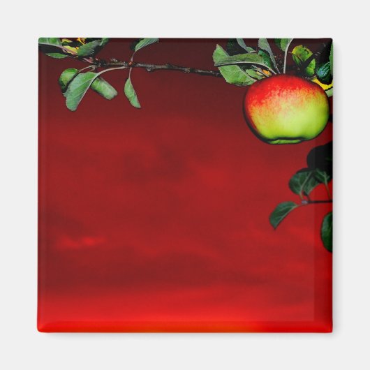 Paradiesapfel Magnet (Vorne)