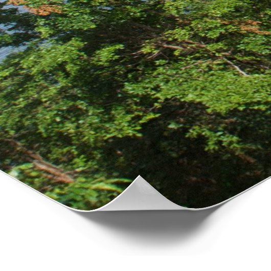 Paradieselemente Poster (Ecke)