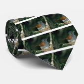 ParadiesFlycatcher Krawatte (Gerollt)