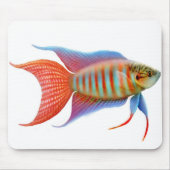 Paradiesgourami-Fische Mousepad (Vorne)