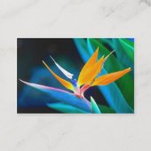 Paradieskarte Visitenkarte (Rückseite)