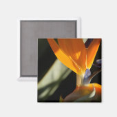 Paradiesmagnet Magnet (Vorderseite/Rückseite)