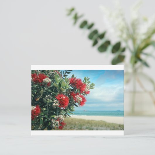 Paradiesstrand Rote Blume Neuseeland Sommer Postkarte (Stehend Vorderseite)