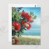 Paradiesstrand Rote Blume Neuseeland Sommer Postkarte (Vorne/Hinten)