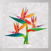 Paradiestrio Poster (Vorne)