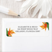 Paradiesvogel (Insitu)