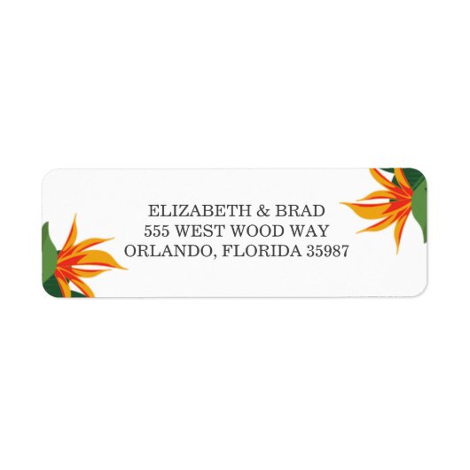 Paradiesvogel (Vorne)