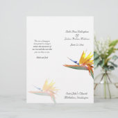 Paradiesvogel (Stehend Vorderseite)