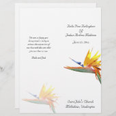 Paradiesvogel (Vorne/Hinten)