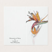 Paradiesvogel (Außenseite Aufgefaltet)