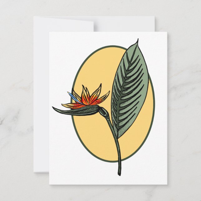 Paradiesvogel (Vorderseite)