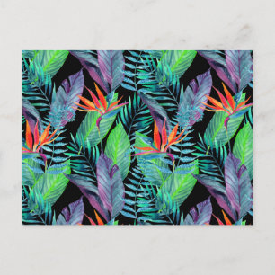 Paradiesvogel 2 postkarte