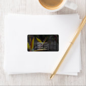 Paradiesvögel Adressaufkleber (Insitu)