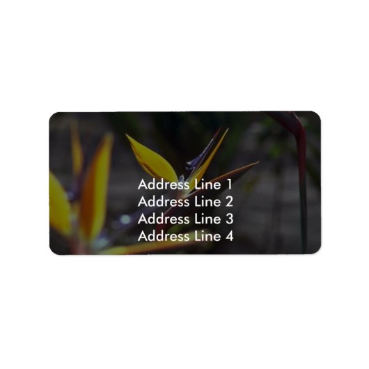 Paradiesvögel Adressaufkleber (Vorne)