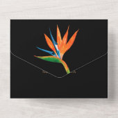 Paradiesvogel All In One Einladung (Rückseite)