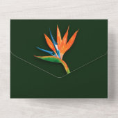 Paradiesvogel All In One Einladung (Rückseite)