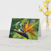 Paradiesvogel Anmerkungs-Karte Karte (Gelbe Blume)