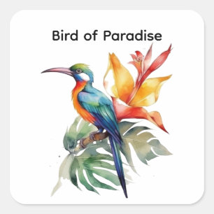 Paradiesvogel, anpassbar quadratischer aufkleber
