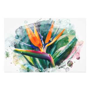 *~* Paradiesvogel AP10 Kunstmalerei #2 Fotodruck