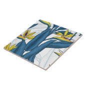 Paradiesvogel auf Weiß-Blume Fliese (Seite)