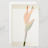 Paradiesvogel Blume Briefpapier (Vorne/Hinten)