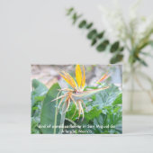 Paradiesvogel Blume Postkarte (Stehend Vorderseite)