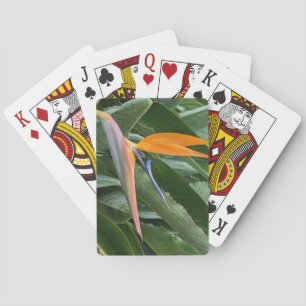Paradiesvogel Blume Spielkarten