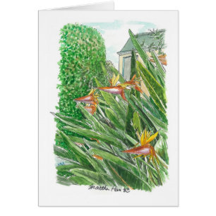 Paradiesvogel Blumen