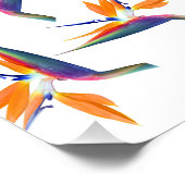 Paradiesvogel-Blütenmuster Poster (Ecke)