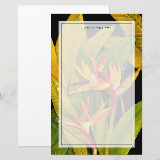 Paradiesvogel Briefpapier (Vorne/Hinten)