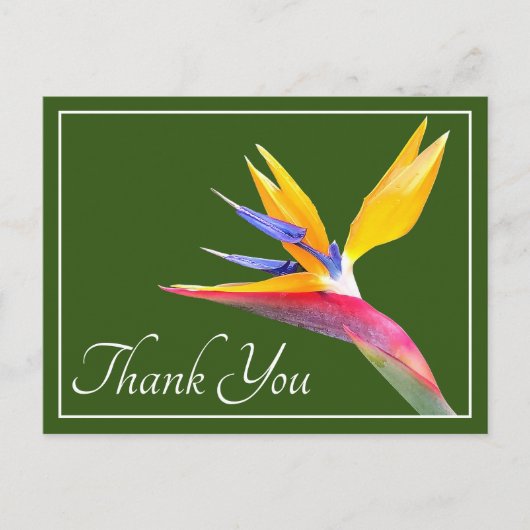 Paradiesvogel - Danke Postkarte (Vorderseite)