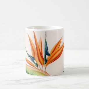 Paradiesvogel der Blume Vintagen illustrierten Kaffeetasse
