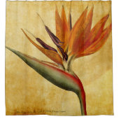 Paradiesvogel Duschvorhang (Vorderseite)