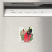 Paradiesvogel, eingraviert von T. Walter Magnet (In Situ (Geschirrspüler))